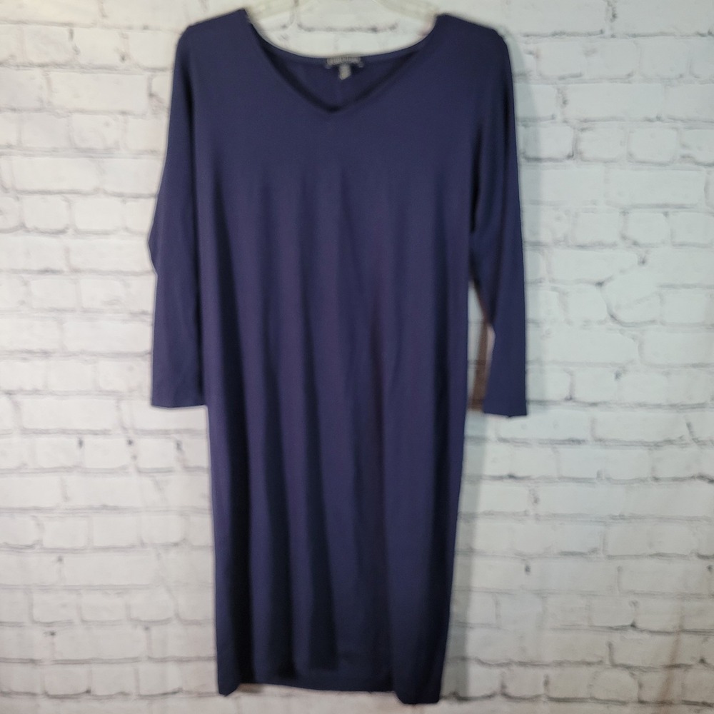 Eileen Fisher Dress Womens Small Blue Long Sleeve V-Neck Pullover